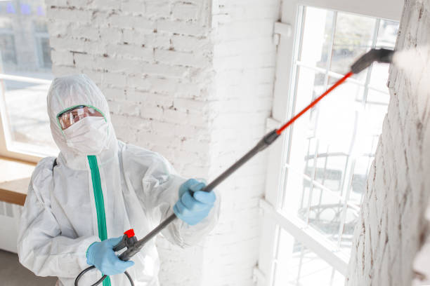 Asbestos and Lead Testing During Mold Inspection in Beverly, NJ