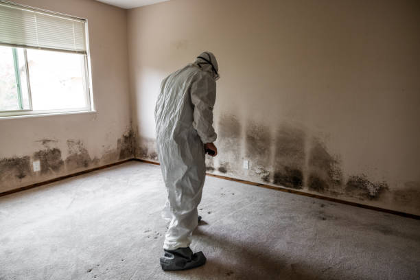 Best Mold Remediation for Healthcare Facilities  in Beverly, NJ